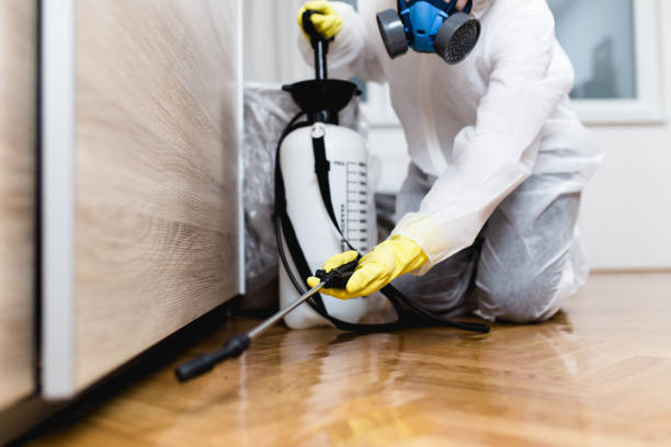 Best Pest Control for Restaurants  in Pinecrest, FL