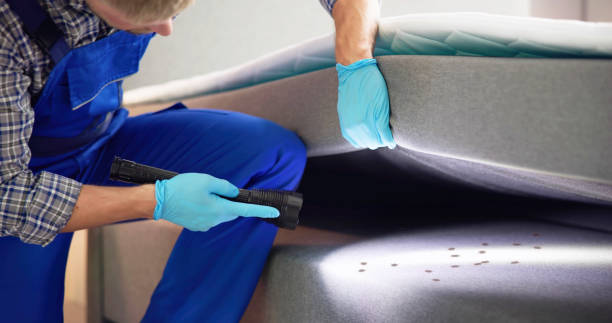 Best Best Pest Control Companies  in Pinecrest, FL