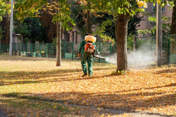 Best Spider Control Near Me  in Pinecrest, FL