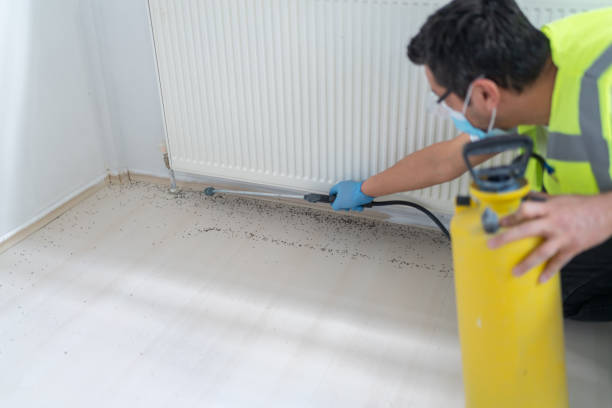 Best Pest Control for Homes  in Pinecrest, FL
