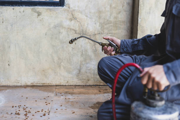 Best Affordable Pest Control Services  in Pinecrest, FL
